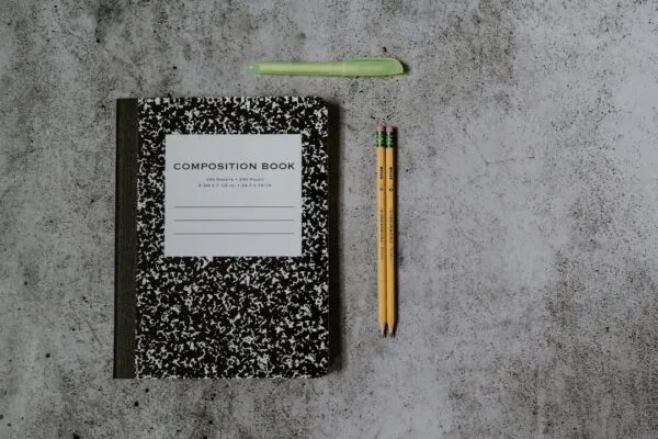 Photo Gratitude Journaling Questions