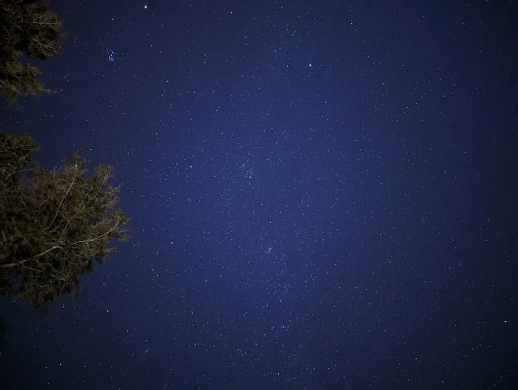 Photo Gratitude at Night