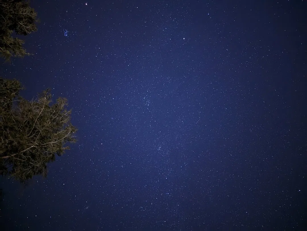 Photo Gratitude at Night