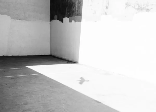 Photo gratitude prompts