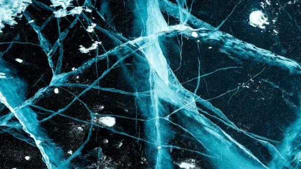 Photo neuroplasticity