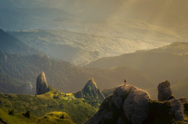 Photo gratitude dopamine